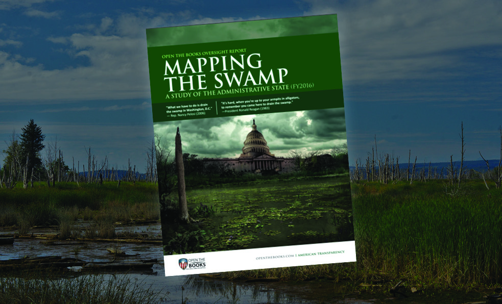 74_mapping_the_swamp