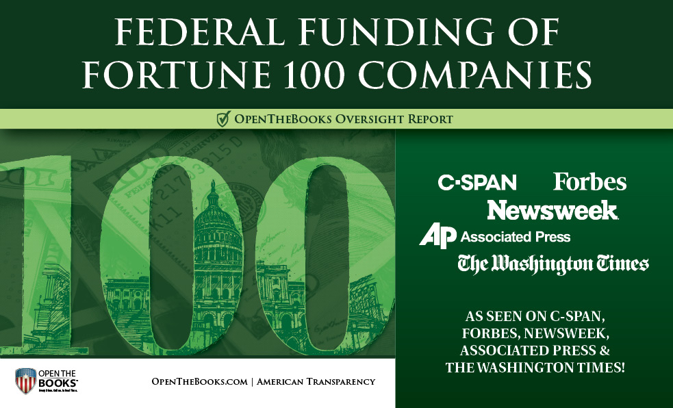 1_Federal_Funding_of_Fortune_100_Companies