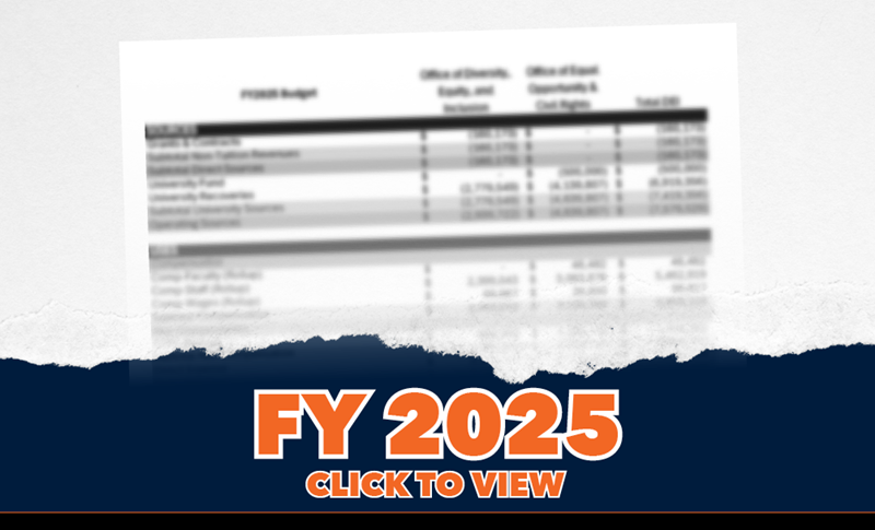 30_DEI_budget_uva_FY2025_NEW
