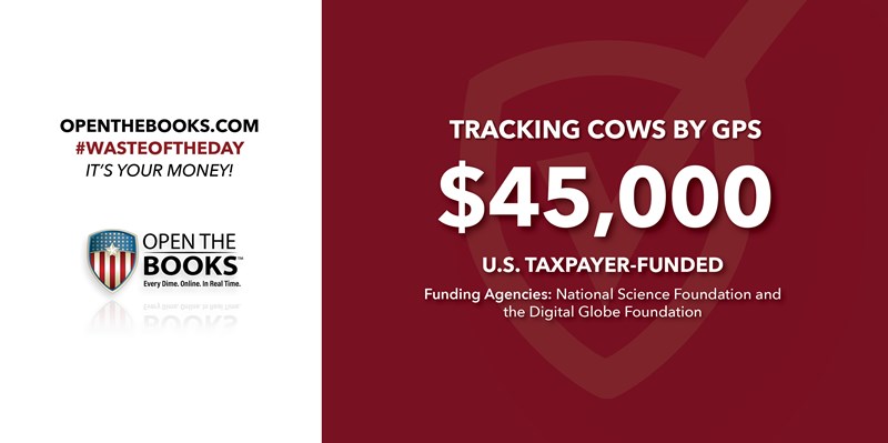5_Tracking_Cows