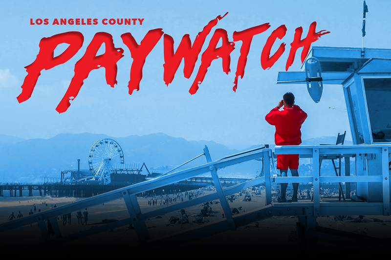 Paywatch_v2